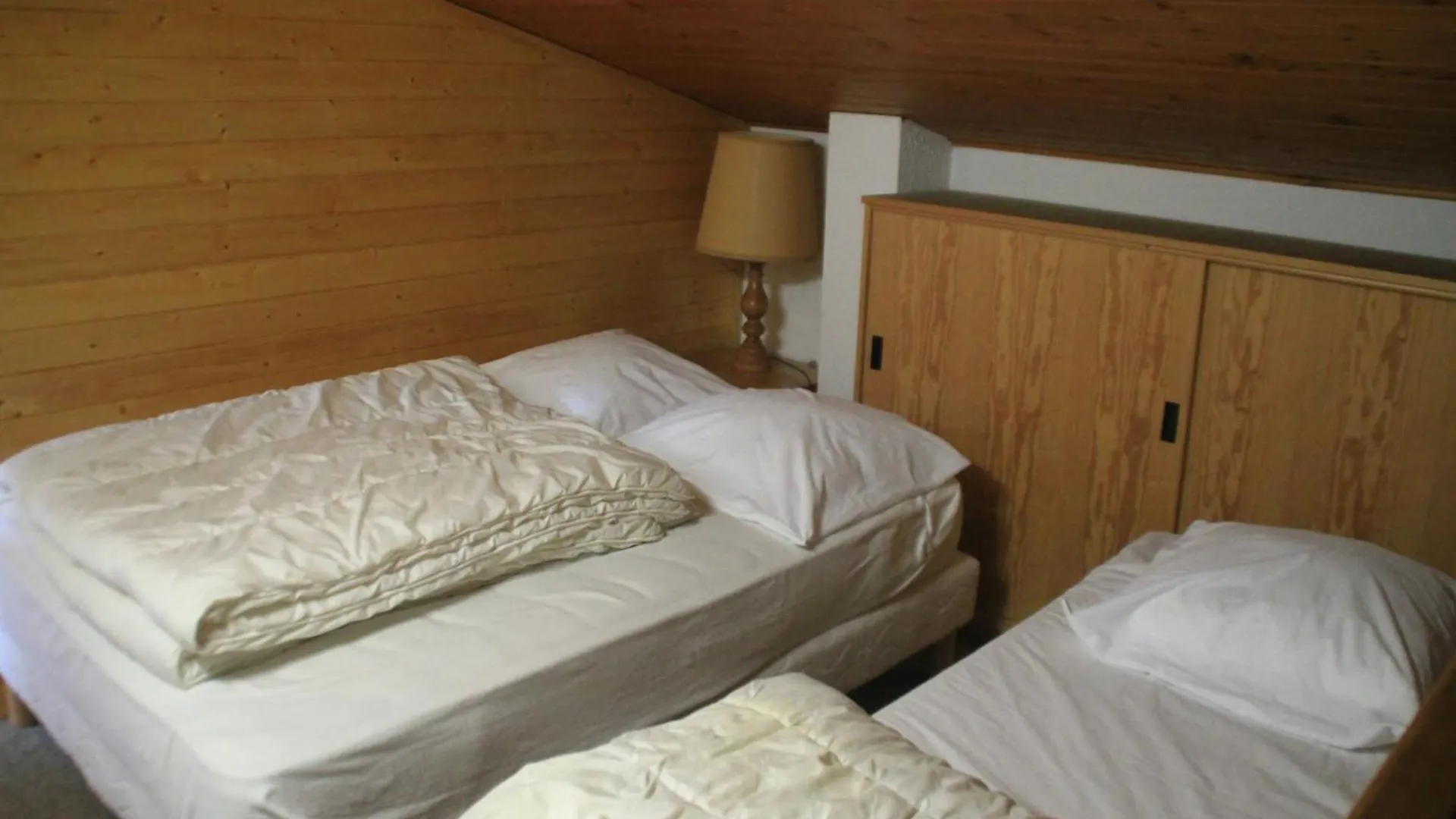 Alpenlake apartment for 6 people Châtel